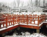 連已經結冰的湖水邊、橋欄上，都留下了這個冬天最美的一幕！