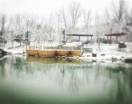 連已經結冰的湖水邊、橋欄上，都留下了這個冬天最美的一幕！