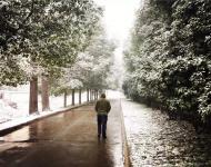 你是不是也沒想到，每天走的大道在攝影師的鏡頭下，有了雪花的襯托，竟也可以如此唯美！
