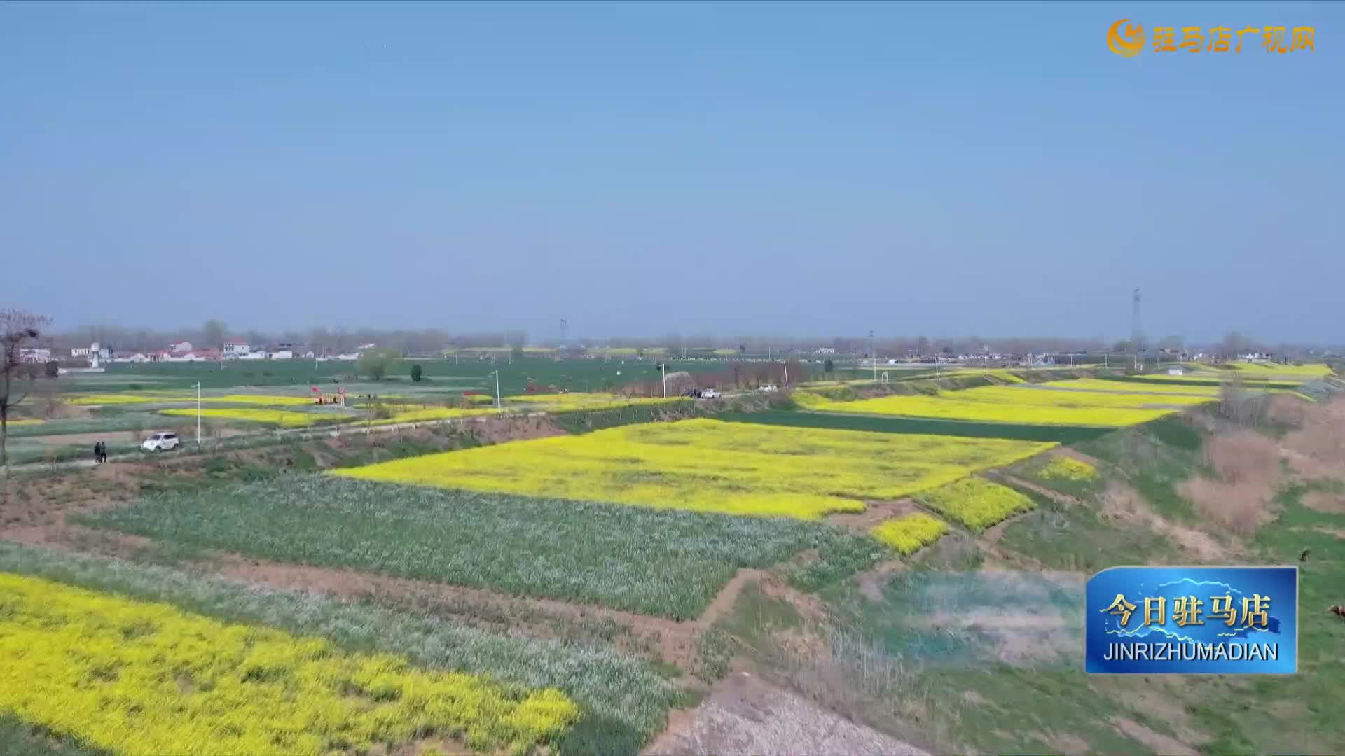 【民生新聞】“以舊換新”助推我市家電市場升溫......