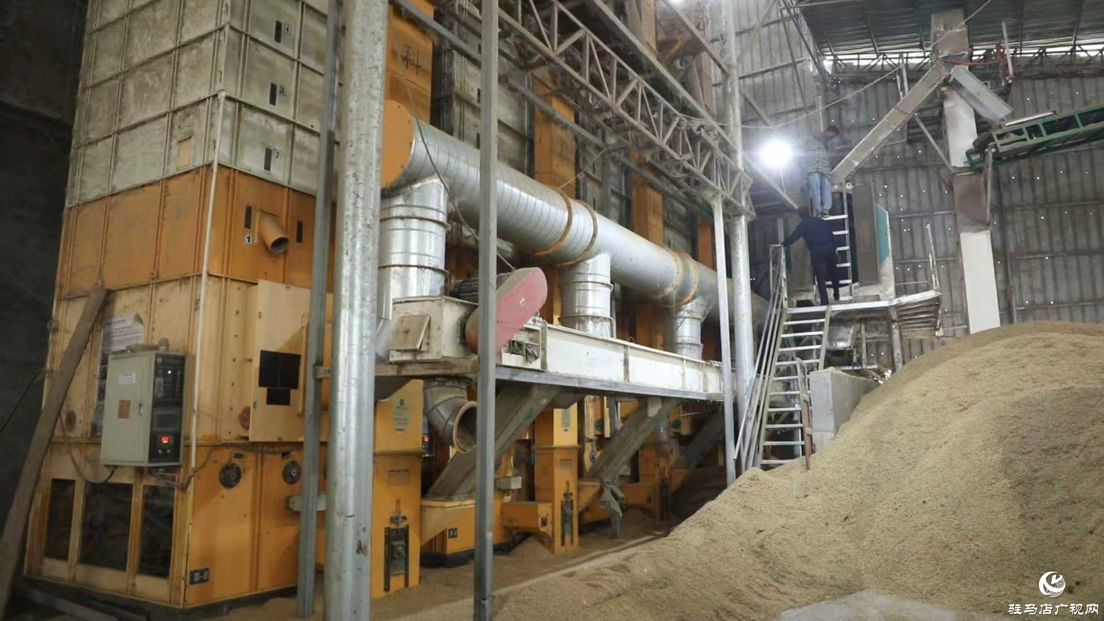 正陽縣:搶抓降雨間歇 全力確保秋糧歸倉