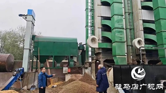 新蔡縣韓集鎮:完善烘干保障 確保顆粒歸倉