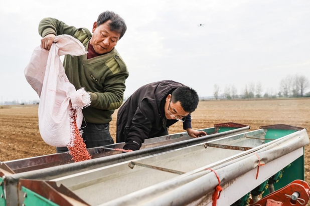 驛城區(qū)：精準(zhǔn)施策 力保晚播小麥不減產(chǎn)