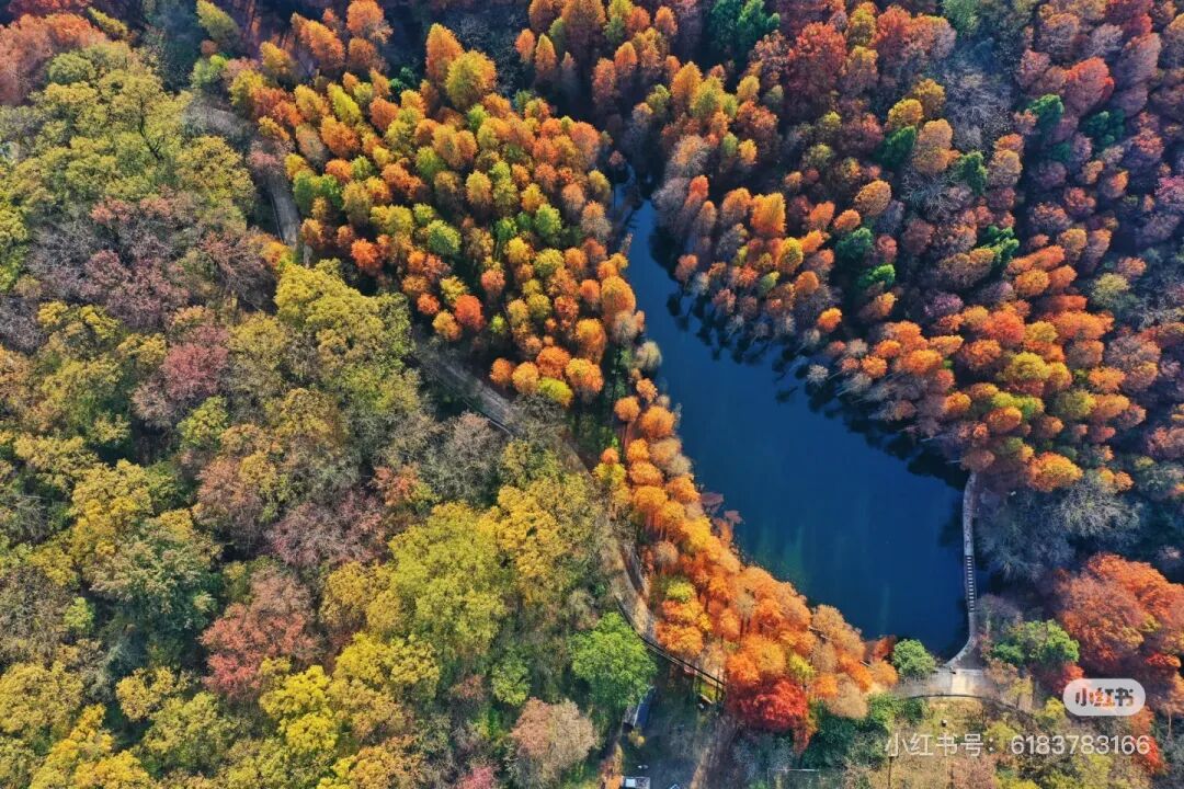 冬日信陽，獨具魅力！
