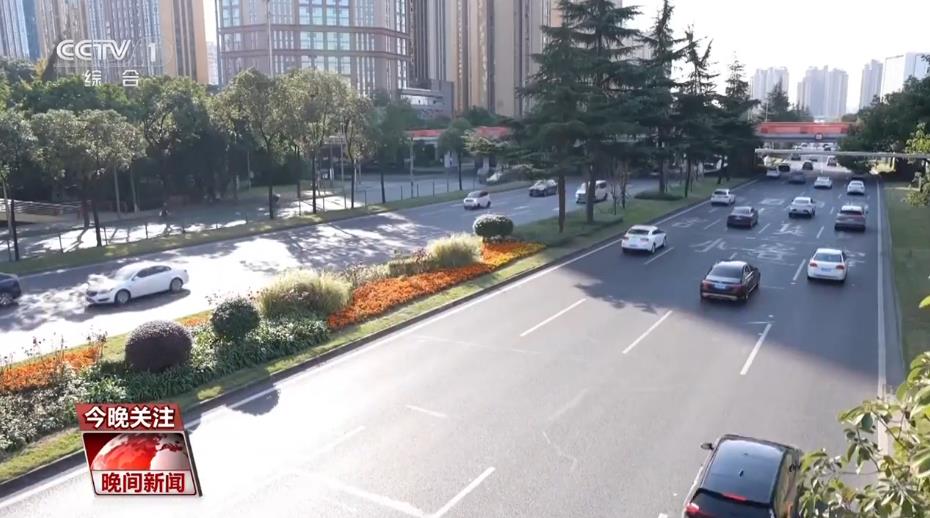 這些行為既危險又違法！@機動車駕駛人，行車安全指南請查收