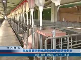 生態型循環養殖成企業新的經濟增長點